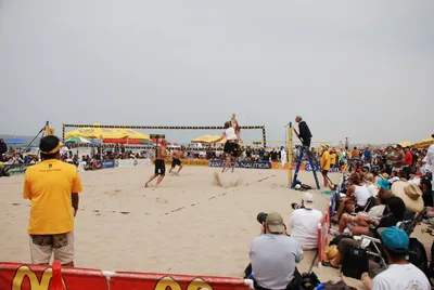 DSC_0057 (Large).JPG